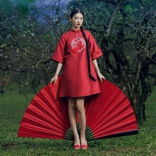 Joven đầm áo dài hàm an