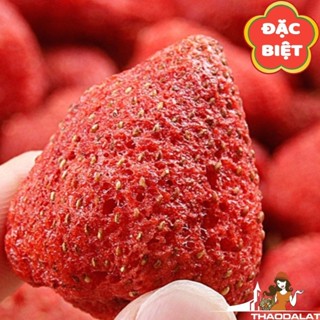 DÂU TÂY SẤY GIÒN TREND 2024 GIÒN, XỐP, NGỌT NHẸ, CHUA TỰ NHIÊN, THƠM DÂU - ĐẶC SẢN THẢO ĐÀ LẠT