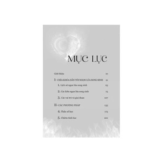 Sách Twin Flame - Bản Quyền