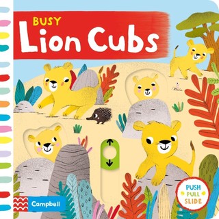 Sách - Busy Lion Cubs by Campbell Book