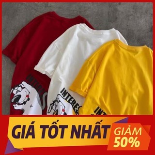 Freeship áo thun kiểu from rộng, áo thun from rộng tay lỡ, áo thun from rộng in hình con chó siêu đẹp