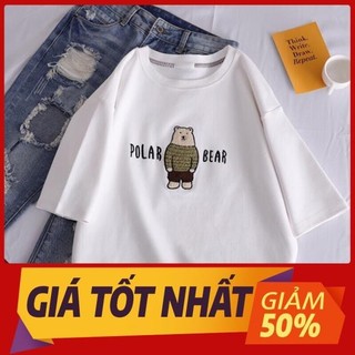 Freeship 50k áo thun in hình gấu polar bear