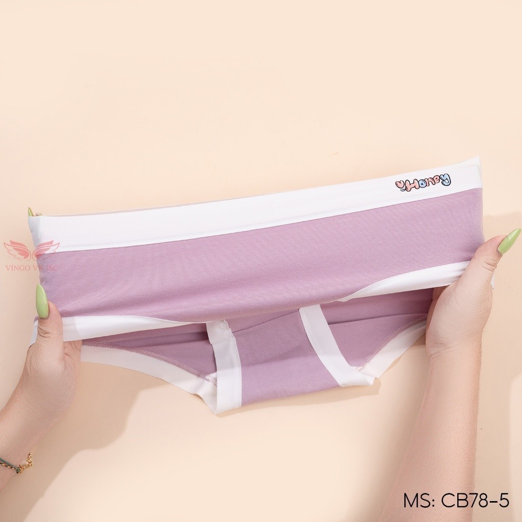 Combo 5 quần lót cotton trơn kháng khuẩn VINGO CB80 VNGO
