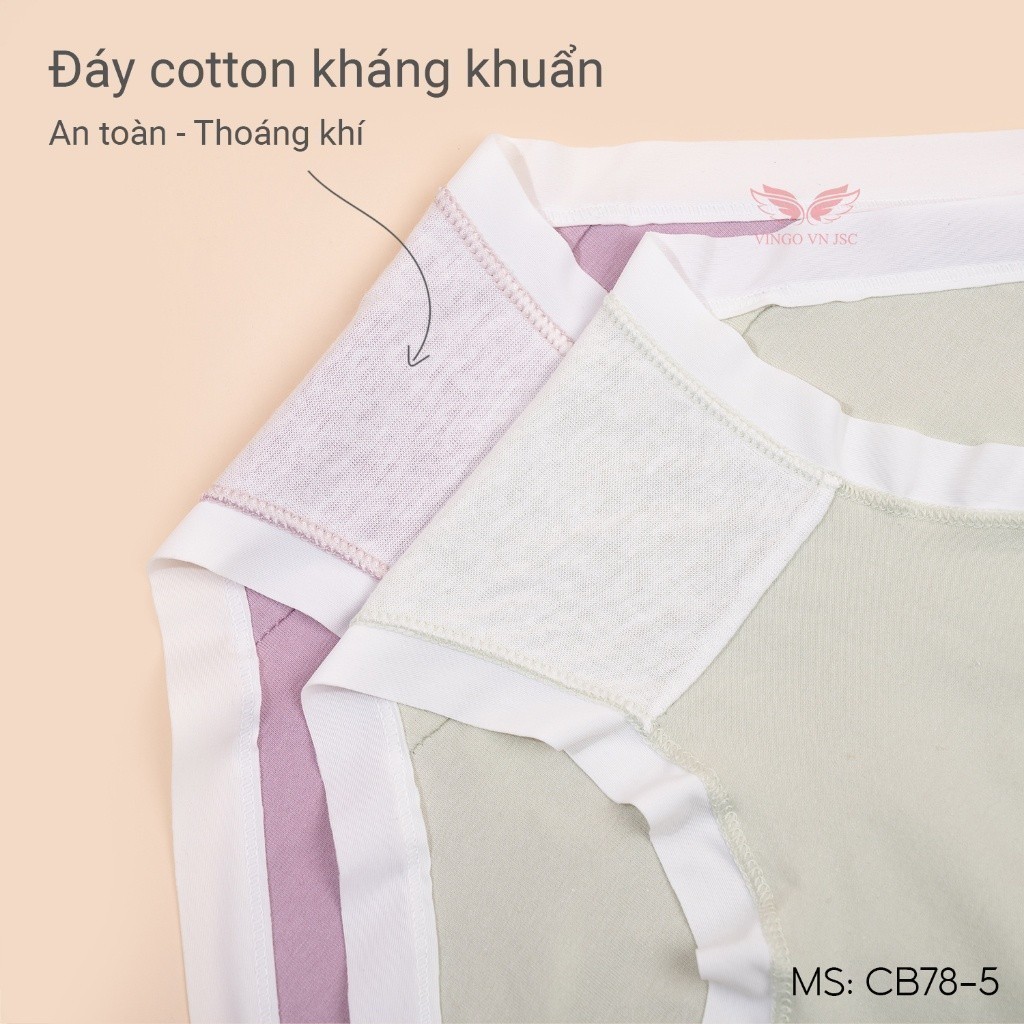 Combo 5 quần lót cotton trơn kháng khuẩn VINGO CB80 VNGO