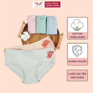 Quần lót Cotton VINGO Đính Nơ Dáng 3/4 basic Vingo 5 Màu Q124 VNGO