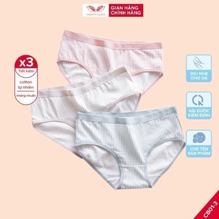 Combo 3 quần lót cotton kẻ sọc VINGO dáng 3/4 co giãn thoải mái đáy 2 lớp kháng khuẩn cạp vừa có size to CB01 VNGO