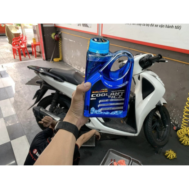 Nước làm mát Malossi coolant