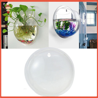 <penstok> Chậu Hoa Treo Tường Bằng Acrylic Thiết Kế Sáng Tạo Độc Đáo