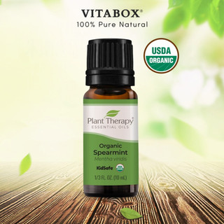 Plant Therapy - Tinh Dầu Bạc Hà Lục Hữu Cơ - Spearmint Organic KidSafe Essential Oil - 10mL