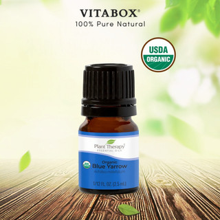 Plant Therapy - Tinh Dầu Hữu Cơ Cúc Vạn Diệp (Blue Yarrow) - USDA Organic - 2.5ml