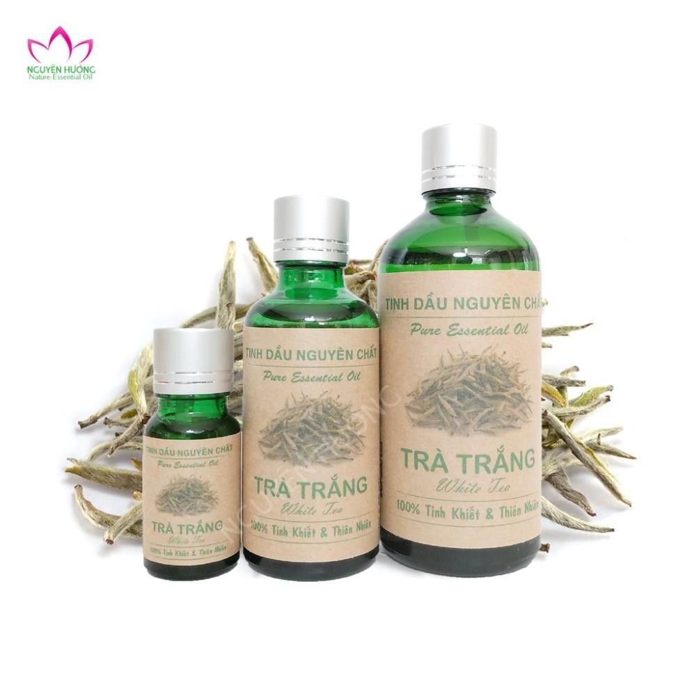 Tinh dầu Trà Trắng Nguyên Chất|Tinh dầu trà trắng cao cấp Nhập Khẩu Ấn Độ|Thương Hiệu Nguyên Hương