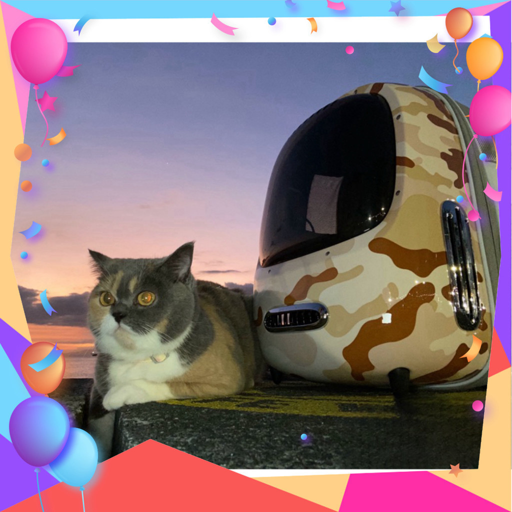 Balo Petkit Breezy 2 có quạt và đèn trang bị sẵn