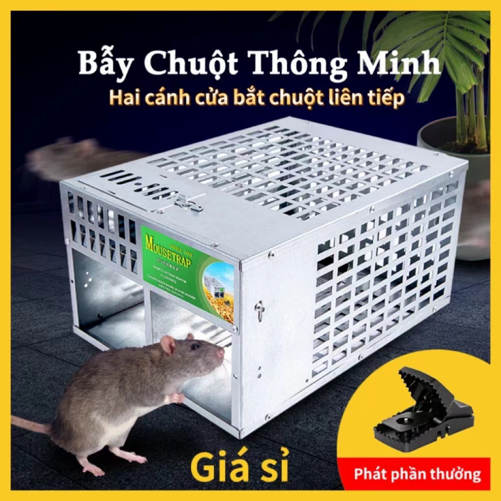 Bẫy Chuột Tự Động Thông Minh, lồng chuột hoàn hảo Bẫy chuột lồng có thể tái sử dụng Mouse Trap Có hi