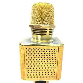 Míc hát Karaoke kiêm loa bluetooth OK09 - HAPOS