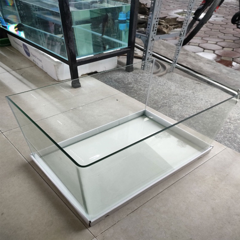 Bể kính đúc nhập khẩu bo cong cạnh kính siêu trong cỡ lớn nhất 60x30x35 SIÊU RẺ