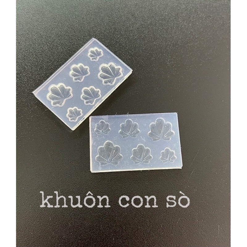 khuôn con sò