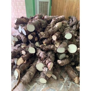 Bạc Hà Núi Lạng Sơn, củ già lấy từ núi đá vôi, rất chất lượng 43