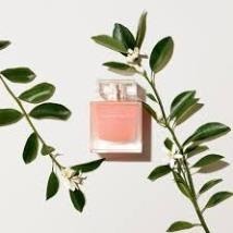 Nước hoa Narciso Eau Néroli Ambrée EDP 10ml