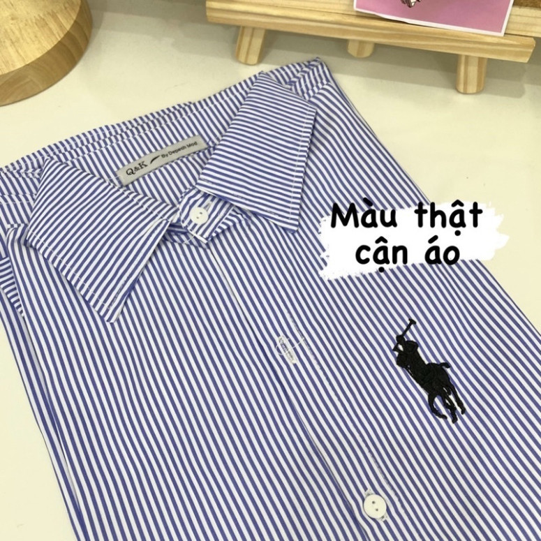 Sơ Mi Nam Nữ Kẻ Xanh Ngựa Thêu Form UNISEX Dễ Mặc Dễ Phối Đồ Chất LANH Siêu Mịn Không Nhăn Siêu Mát Mẫu Sơ Mi HOT 2024 | BigBuy360 - bigbuy360.vn
