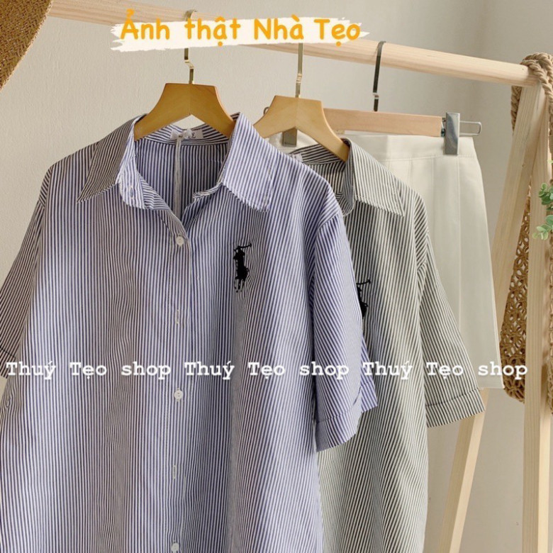 Sơ Mi Nam Nữ Kẻ Xanh Ngựa Thêu Form UNISEX Dễ Mặc Dễ Phối Đồ Chất LANH Siêu Mịn Không Nhăn Siêu Mát Mẫu Sơ Mi HOT 2024 | BigBuy360 - bigbuy360.vn