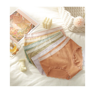Combo 10 quần lót nữ cotton dệt kim chấm bi, quần lót nữ