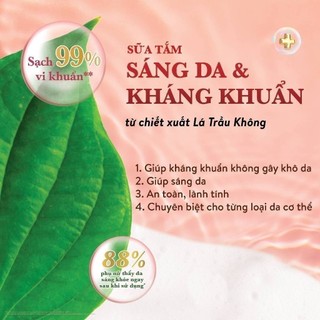 [Hàng Tặng Không Bán] Leaflet 4 Samples Sữa Tắm La'Petal