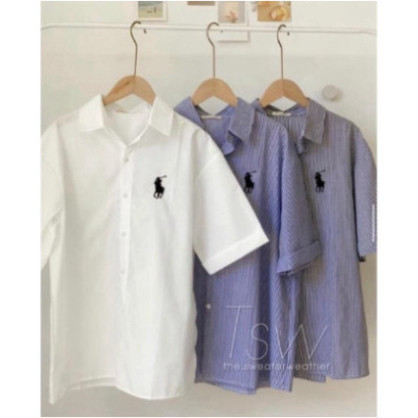 Áo sơ mi kẻ sọc thêu logo ngựa dài tay túi ngực | BigBuy360 - bigbuy360.vn