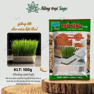 Hạt giống mầm lúa mạch dễ trồng, thơm, ngọt - hạt giống phú nông