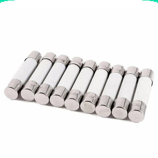 [Giá sỉ] (50 cái) Cầu chì sứ, cầu chì bảo vệ ngắn mạch 5x20mm, 6x30mm