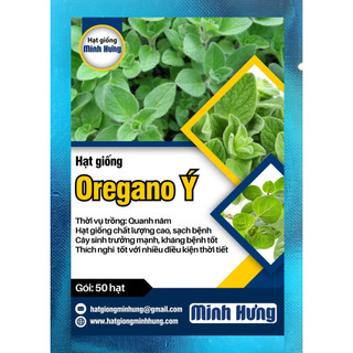 Hạt giống oregano ý - đóng gói 50 hạt - hạt giống minh hưng