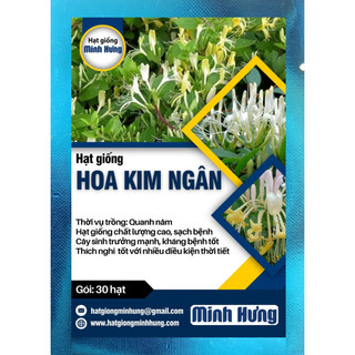 Hạt giống hoa kim ngân - đóng gói 30 hạt - hạt giống minh hưng