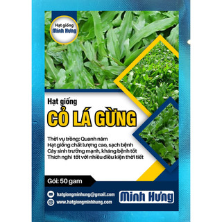 Hạt giống cỏ lá gừng thái lan - đóng gói 50 gam - hạt giống minh hưng