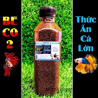  Cám BECO 1 2 - Thức ăn cho cá cảnh betta guppy ranchu cá vàng ba đuôi 7 màu bình tích 