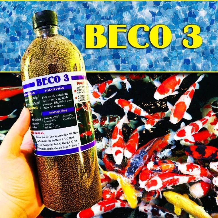 Cám Beco 3 - Thức ăn cá ba đuôi, chép vàng, ranchu