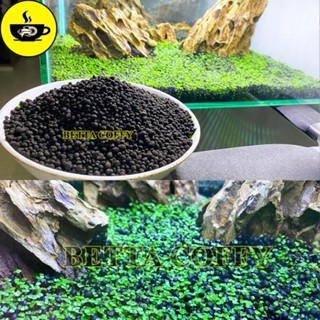 Combo phân nền và hạt giống cây thủy sinh, Hạt giống sen mini đủ màu