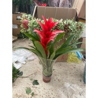 Cây nến đỏ phong thủy chiều cao 50cm hoa đỏ 46