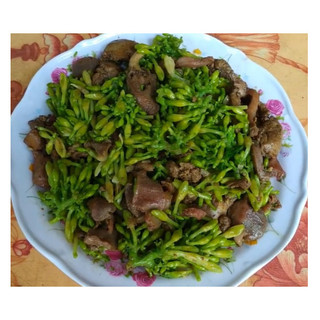 20 Hạt giống cây đu đủ đực ( đu đủ đực )