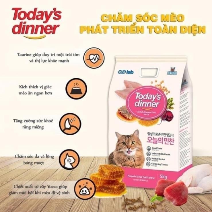 Thức ăn hạt Today’s Dinner cho mèo 🐈 CHỈ BÁN CHIẾT-Hàng Chính Hãng