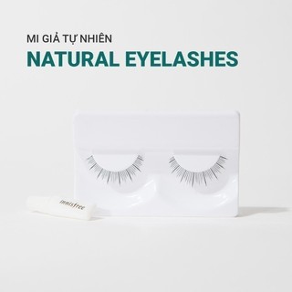 Lông mi giả cho đôi mắt tự nhiên innisfree Natural Eyelashes (1 Bộ)