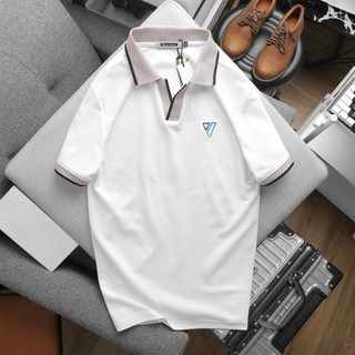 Áo polo nam trơn cổ V độc lạ big size 3xl 90kg thoải mái, cotton cá sấu thoáng mát