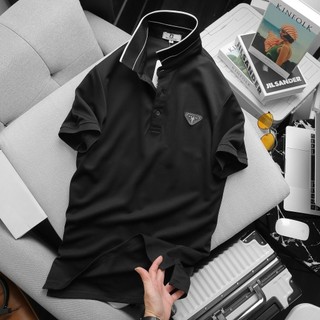 Áo thun polo nam trơn PackHorse PARIS big size 3xl 90kg thoải mái