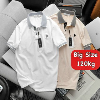 Áo polo nam big size trắng trơn form 120kg thoải mái, áo cho bố, quà tặng bạn trai - áo thun nam có cổ TheBasic Striple