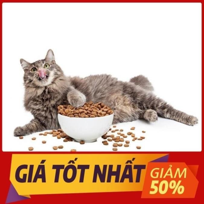 [Túi Chiết 4KG] HẠT CAT’S ON CHO MÈO MỌI LỨA TUỔI [GÓI 4KG = 4kg túi chiết từ bao lớn20kg]-Hàng Chín