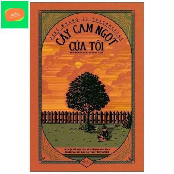 Cây cam ngọt của tôi
