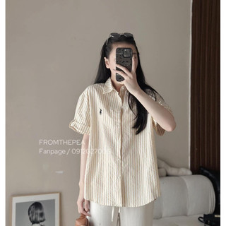 Áo sơ mi kẻ dọc thêu ngựa 2m