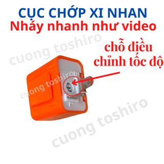 Cục chớp nháy xi nhan điều chỉnh tốc độ nhanh chậm công tắc còi nhại xi nhan t15 bóng hậu dùng cho mọi dòng xe máy