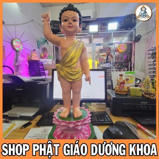 Tượng Phật Đản Sanh 60cm composite vẻ màu cực đẹp.. giá sĩ