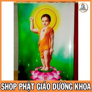Tranh phật đản sanh 40cm x 60cm