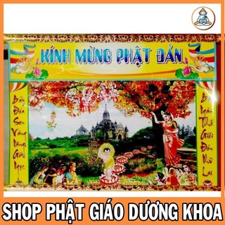 Tranh Phật Đản Sanh 40cm x 60cm