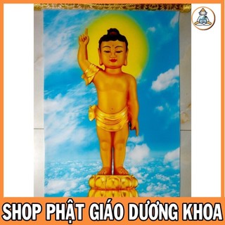 Tranh Phật Đản Sanh 40cm x 60cm